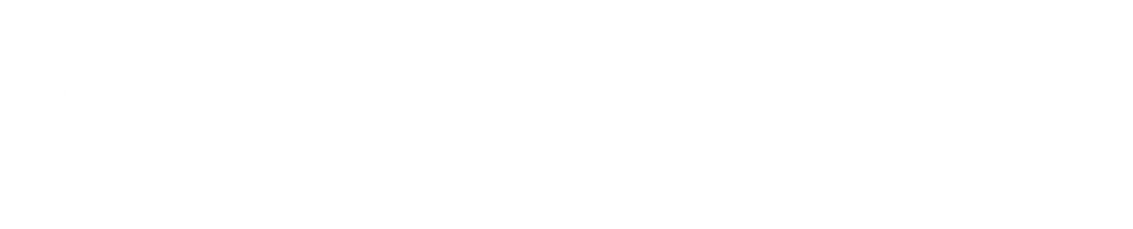 Logo P&P Vida horizontal blanco sobre fondo oscuro